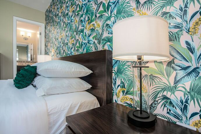 Imagen general del Hotel The Local - St. Augustine. Foto 8