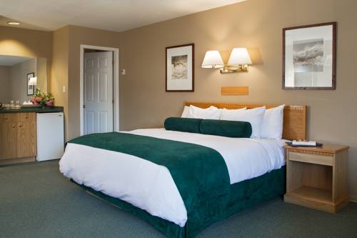 Imagen de la habitación del Hotel The Lodge At Arrow Lakes. Foto 3