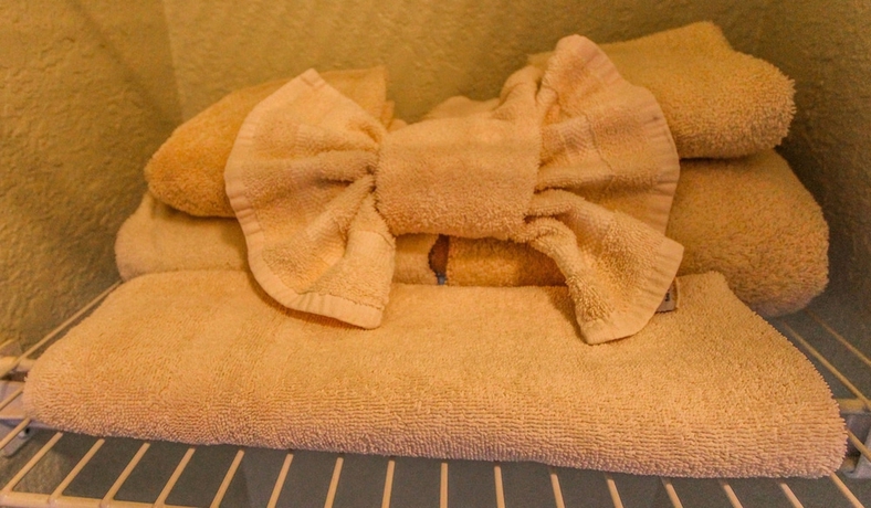 Imagen de la habitación del Hotel The Lodge At Lake Tahoe, A Vri Resort. Foto 10