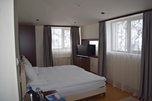 Imagen de la habitación del Hotel The Lodge, Borovets. Foto 19