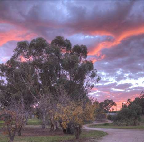 Imagen de los exteriores del Hotel The Lodge Country House. Foto 13