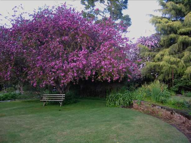 Imagen de los exteriores del Hotel The Lodge Country House. Foto 14