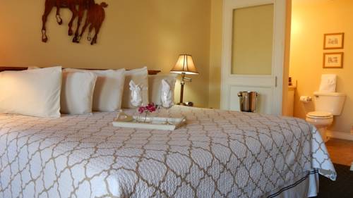 Imagen de la habitación del Hotel The Lodge, Eureka Springs. Foto 6