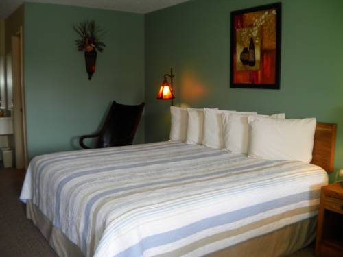Imagen de la habitación del Hotel The Lodge, Eureka Springs. Foto 13