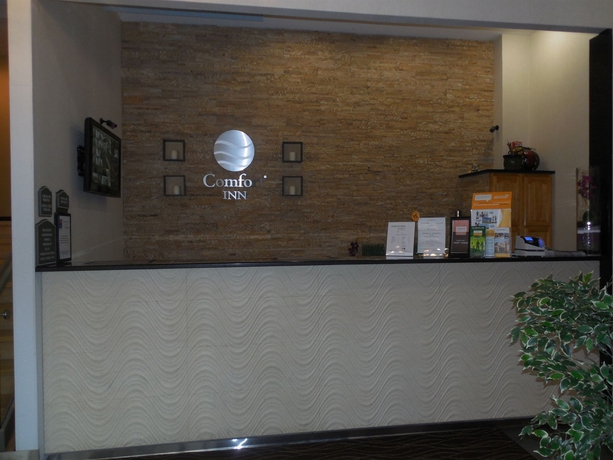 Imagen de los interiores del Hotel The Lodge Red Hook. Foto 14