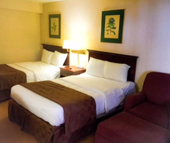 Imagen general del Hotel The Lodge and Banquets. Foto 1