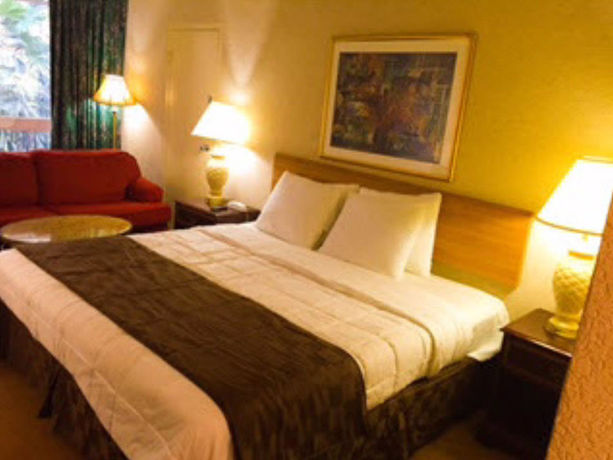 Imagen de la habitación del Hotel The Lodge and Banquets. Foto 4