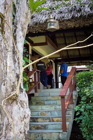 Imagen de los interiores del Hotel The Lodge at Chaa Creek. Foto 18
