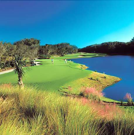 Imagen general del Hotel The Lodge at Hammock Beach Resort. Foto 6