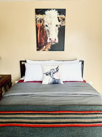 Imagen de la habitación del Hotel The Lodge at Poncha Springs. Foto 11