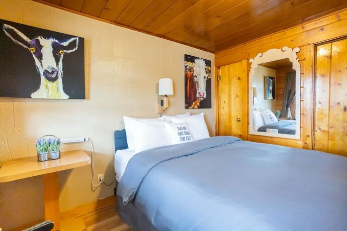 Imagen de la habitación del Hotel The Lodge at Poncha Springs. Foto 13