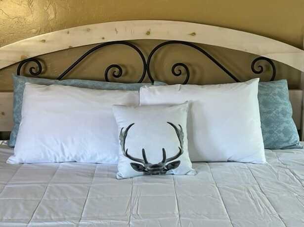 Imagen de la habitación del Hotel The Lodge at Poncha Springs. Foto 14