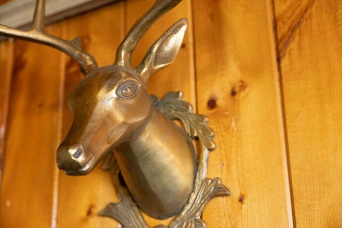 Imagen general del Hotel The Lodge at Poncha Springs. Foto 3