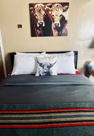 Imagen general del Hotel The Lodge at Poncha Springs. Foto 9