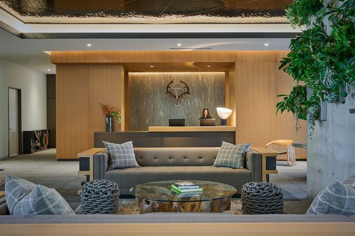 Imagen de los interiores del Hotel The Loren Austin. Foto 16