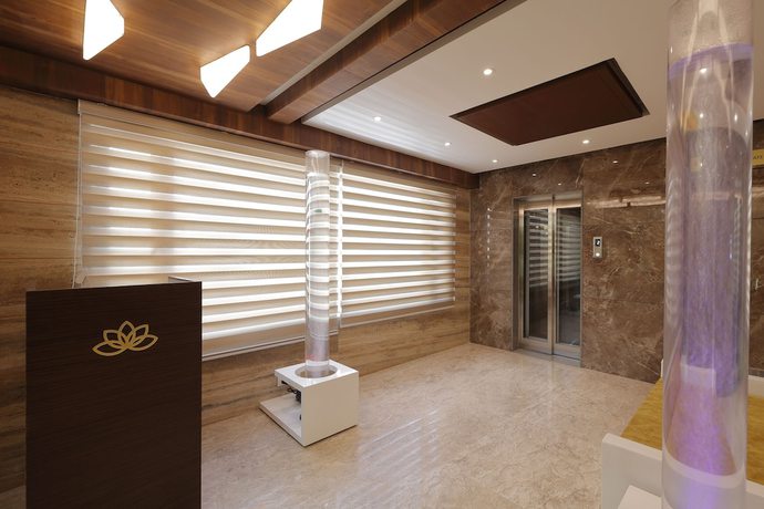 Imagen de los interiores del Hotel The Lotus Park, Ellisbridge. Foto 18