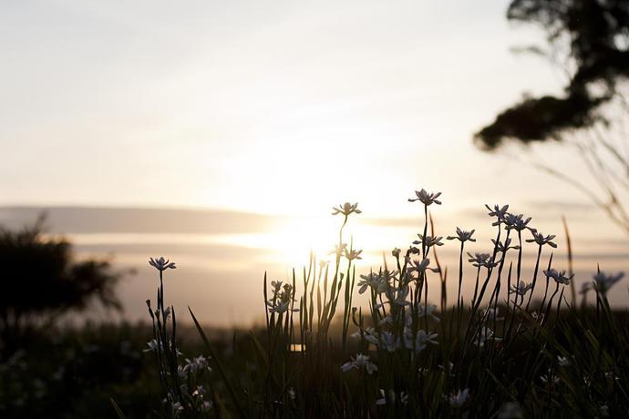 Imagen general del Hotel The Louise Resort. Foto 6