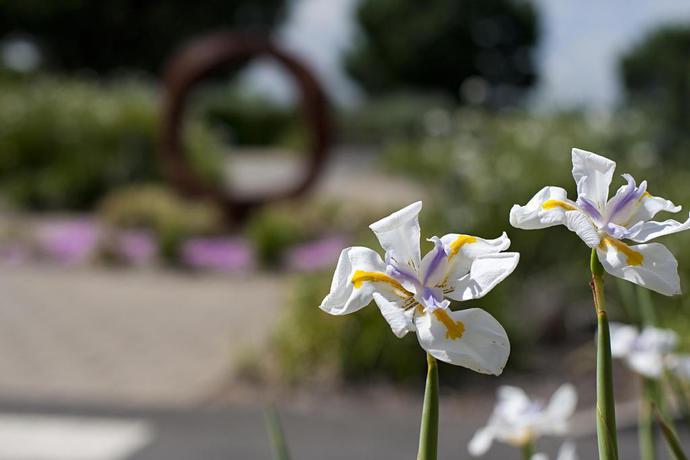 Imagen general del Hotel The Louise Resort. Foto 14