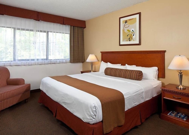 Imagen de la habitación del Hotel The Loyal Inn. Foto 5