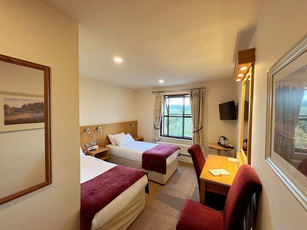 Imagen de la habitación del Hotel The Lucan Spa. Foto 7