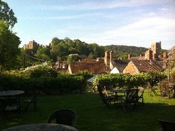 Imagen del bar/restaurante del Hotel The Luttrell Arms. Foto 4