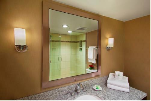 Imagen de la habitación del Hotel The Madison Concourse and Governor's Club. Foto 13