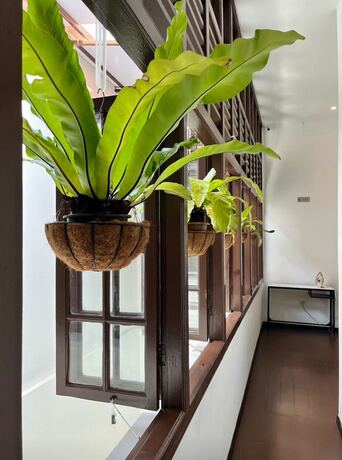 Imagen general del Hotel The Magazine Boutique. Foto 7