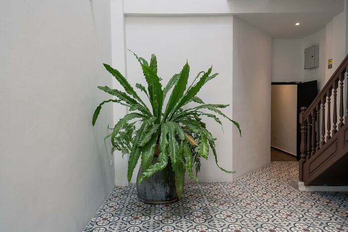 Imagen general del Hotel The Magazine Boutique. Foto 12