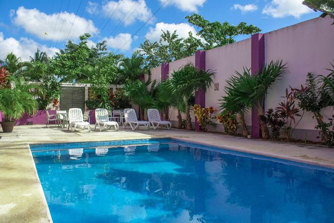 Imagen de la piscina del Hotel The Magic. Foto 20