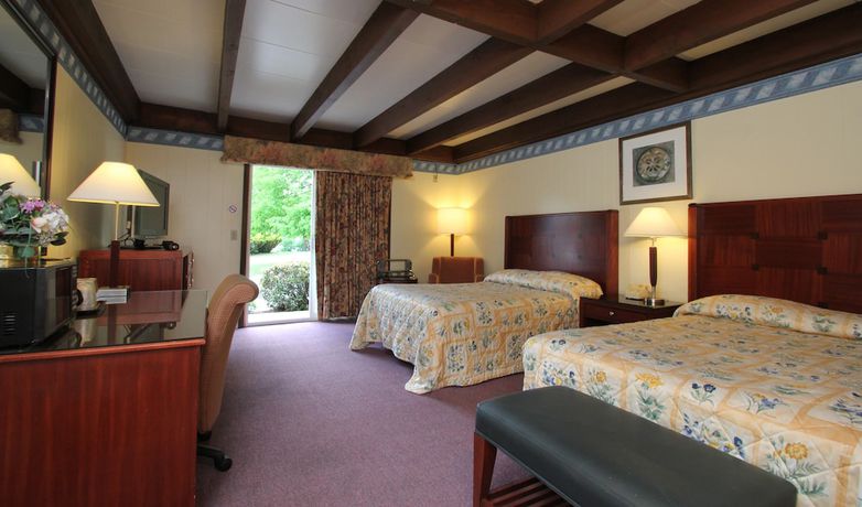 Imagen de la habitación del Hotel The Majestic Regency Resort. Foto 6