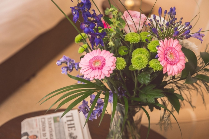 Imagen de los interiores del Hotel The Malone. Foto 13