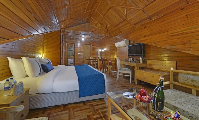 Imagen de la habitación del Hotel The Manali Inn. Foto 11