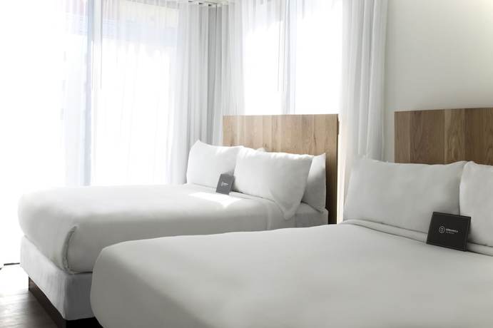 Imagen de la habitación del Hotel The March. Foto 8