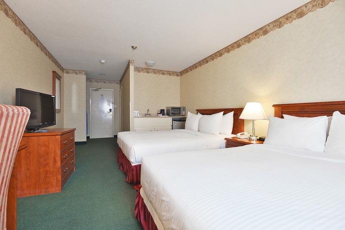 Imagen de la habitación del Hotel The Marigold. Foto 2