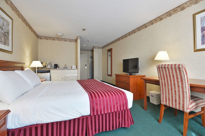 Imagen de la habitación del Hotel The Marigold. Foto 3