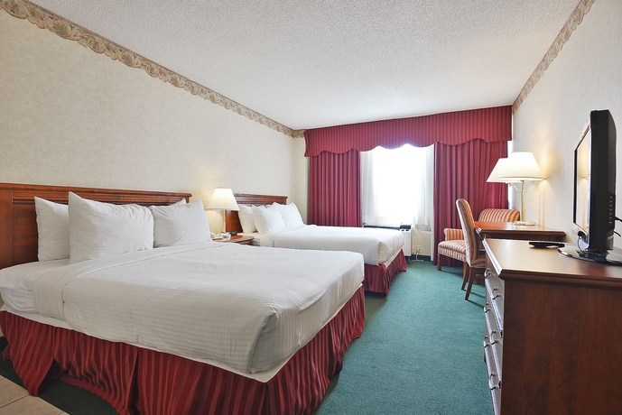 Imagen de la habitación del Hotel The Marigold. Foto 4