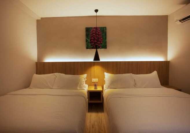 Imagen general del Hotel The Marion. Foto 9