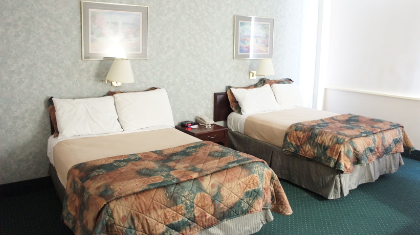 Imagen de la habitación del Hotel The Marlborough. Foto 7