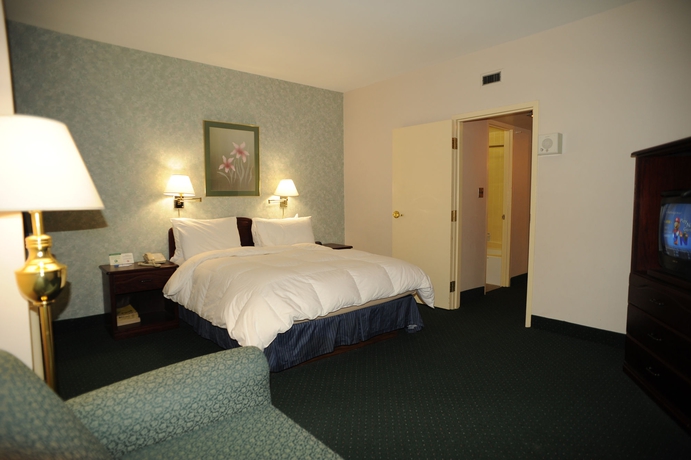 Imagen de la habitación del Hotel The Marlborough. Foto 8