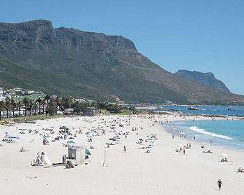 Imagen de la piscina del Hotel The Marly. Foto 16