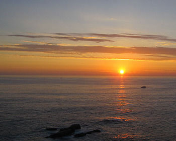 Imagen de la habitación del Hotel The Marly. Foto 7