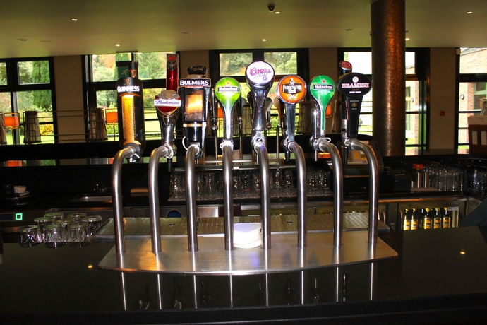 Imagen del bar/restaurante del Hotel The Maryborough and Spa. Foto 4