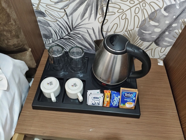 Imagen de la habitación del Hotel The Mayfair, Indore. Foto 4