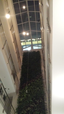 Imagen de los interiores del Hotel The Mesui. Foto 16