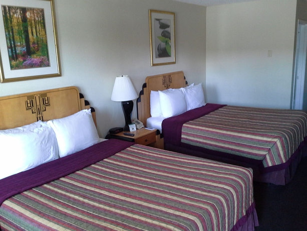 Imagen de la habitación del Hotel The Metropolitan Inn. Foto 7