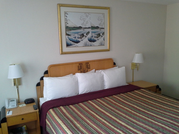 Imagen de la habitación del Hotel The Metropolitan Inn. Foto 9