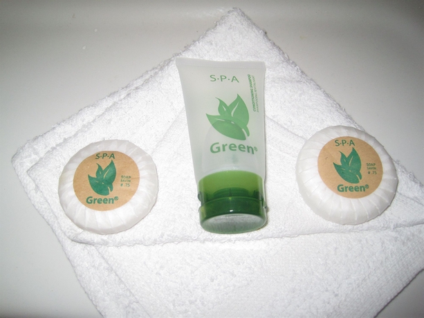 Imagen de la habitación del Hotel The Miami Sun. Foto 3