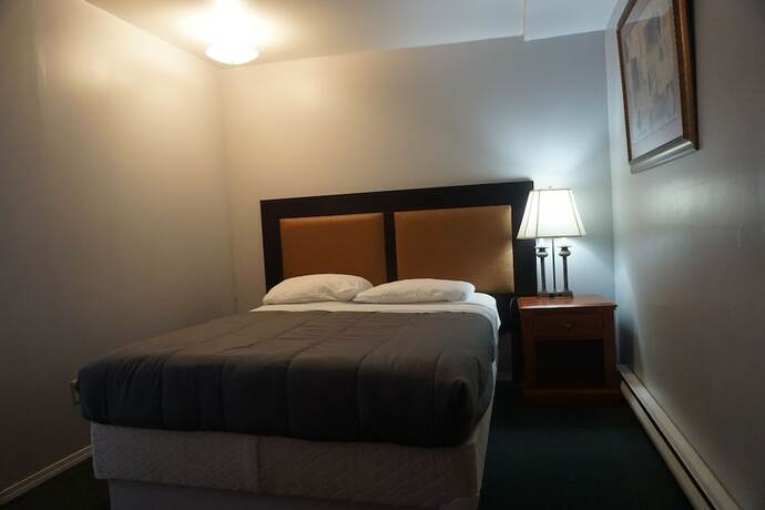 Imagen general del Hotel The Mighty Fraser Motel. Foto 3