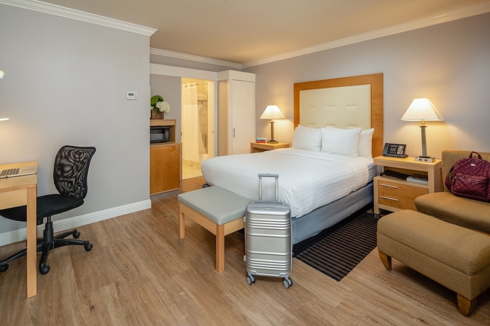 Imagen de la habitación del Hotel The Millwood - A Boutique. Foto 12