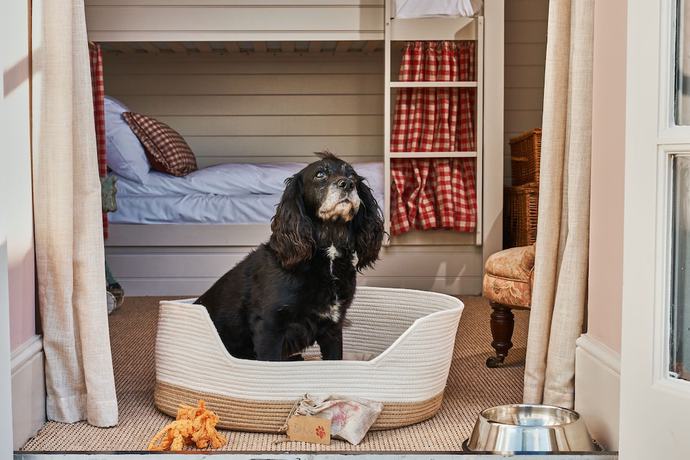 Imagen de la habitación del Hotel The Mitre Hampton Court. Foto 12